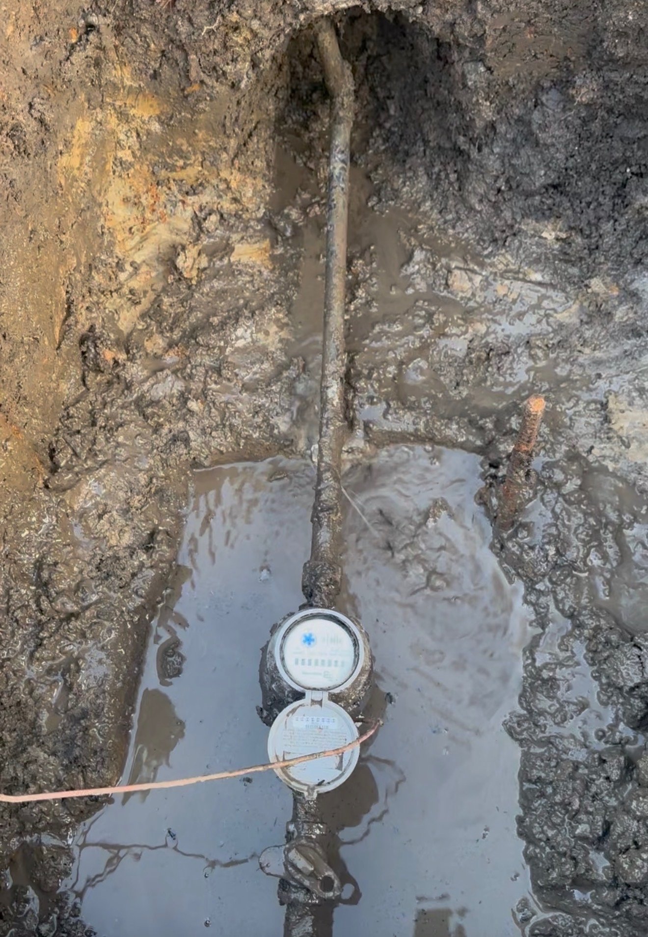 Waldir B. — Plumbing and Irrigation in San Mateo, CA, example 3