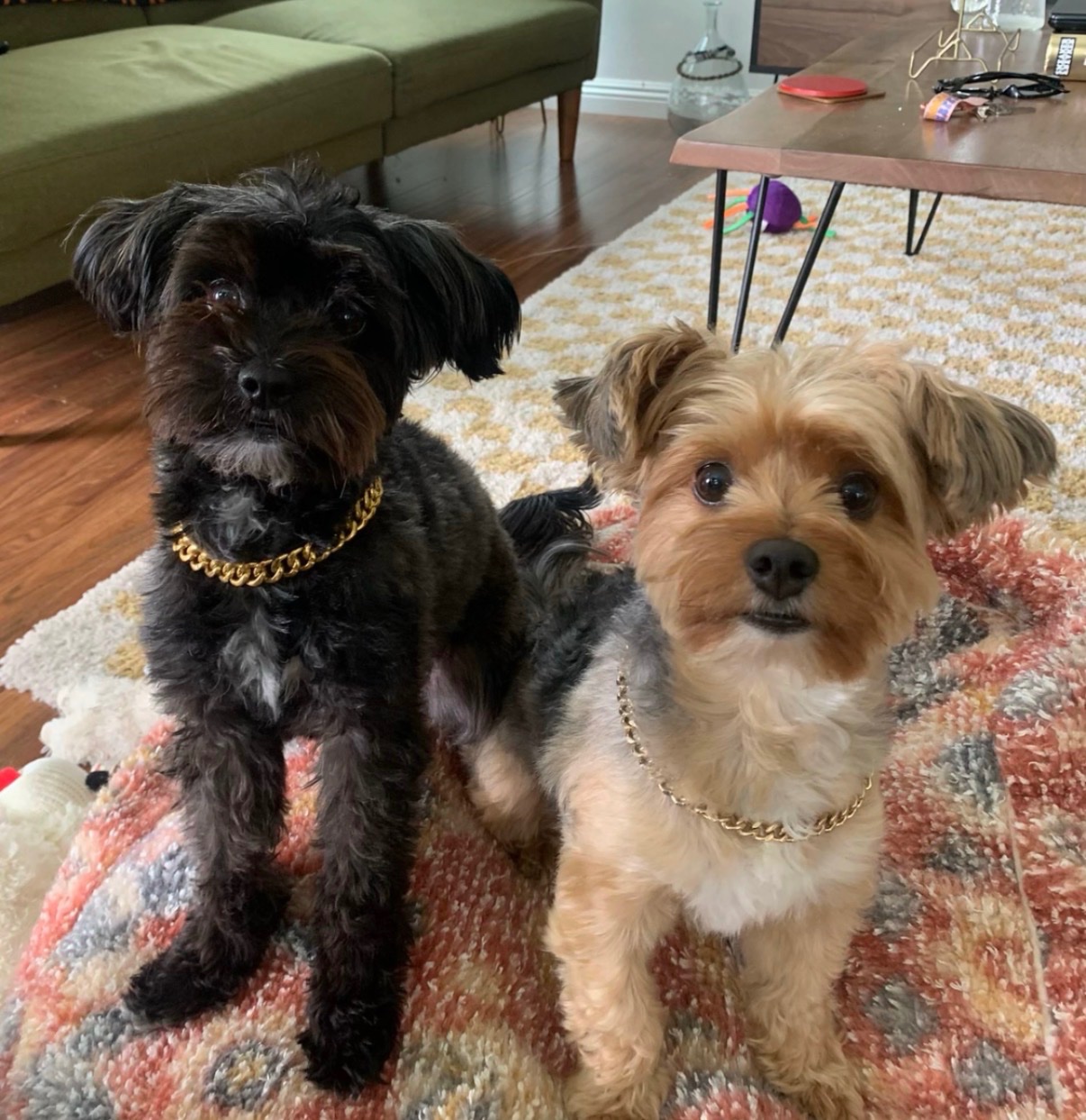 Bently and Yoshi-Scout