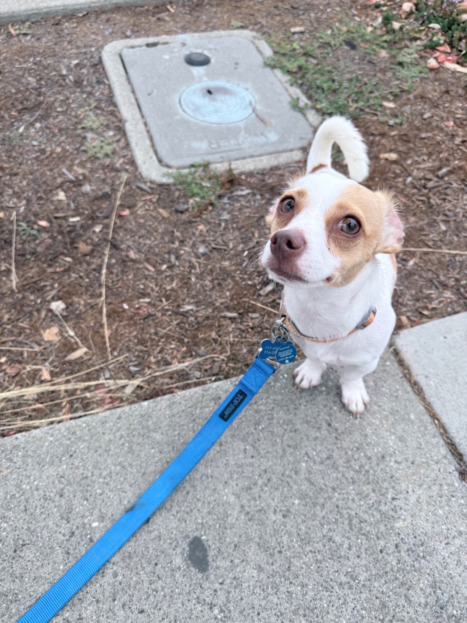 Benny but I call him “Benito”
