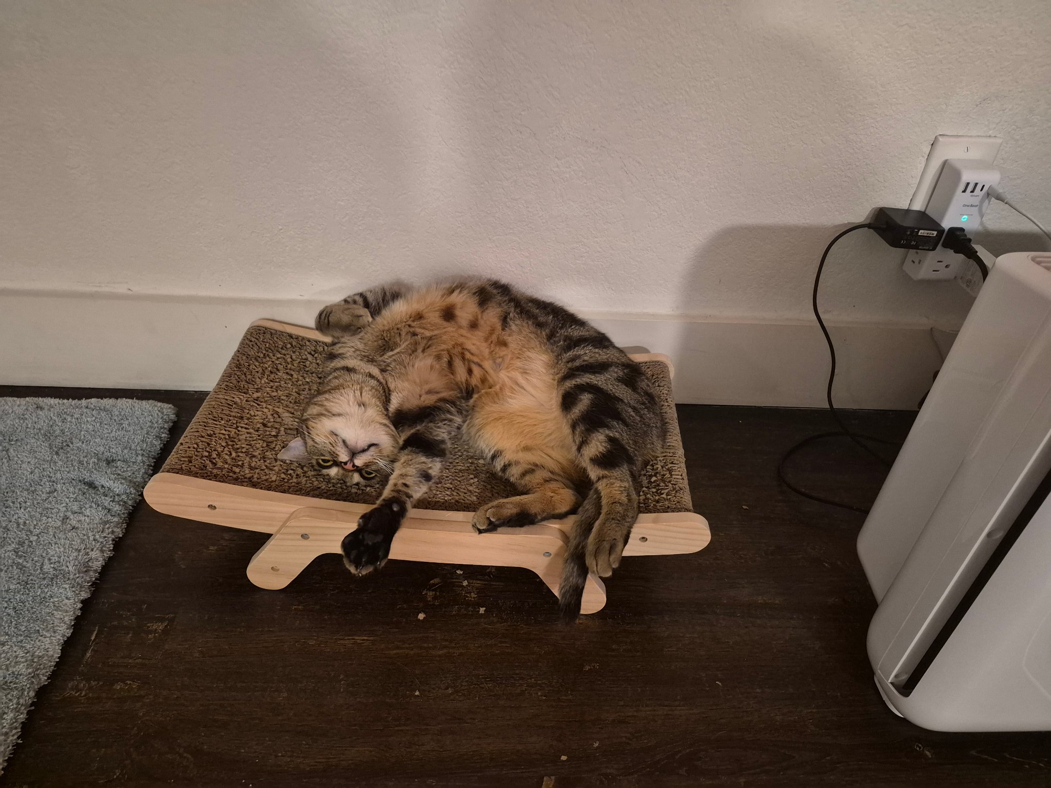 Sam S. — Dog Walking and Pet Sitting in San Francisco, CA, example 2