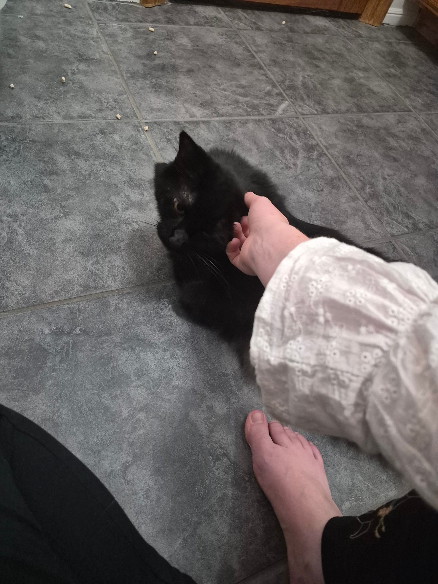 Sam S. — Dog Walking and Pet Sitting in San Francisco, CA, example 5